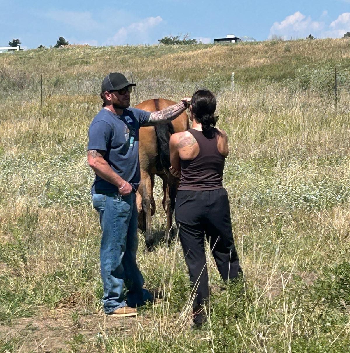 A man and a woman are talking in a Colorado field with a horse nearby.