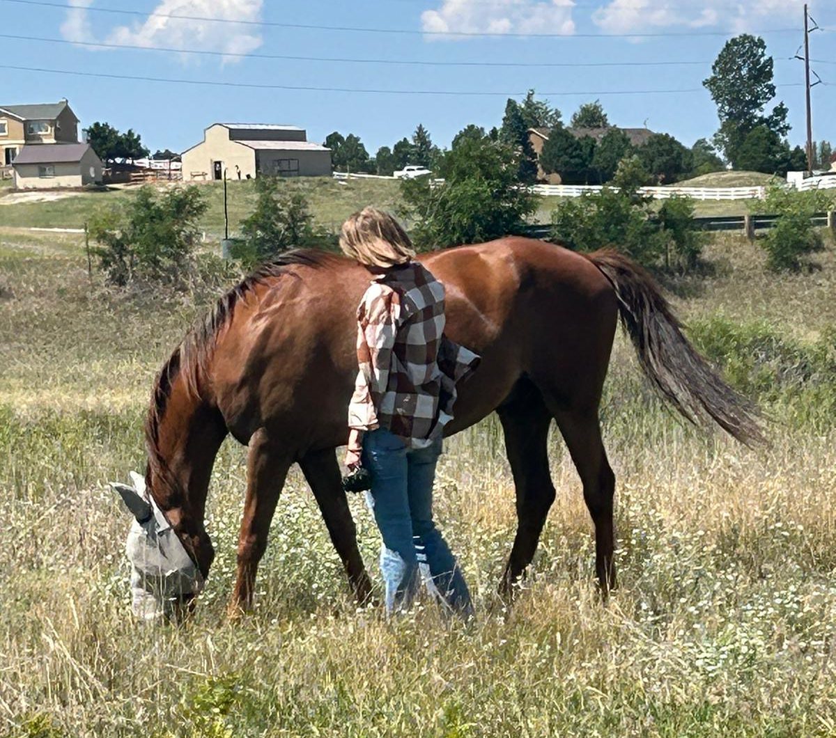 A woman standing next to a horse in a Colorado field with barns/stables in the distance.