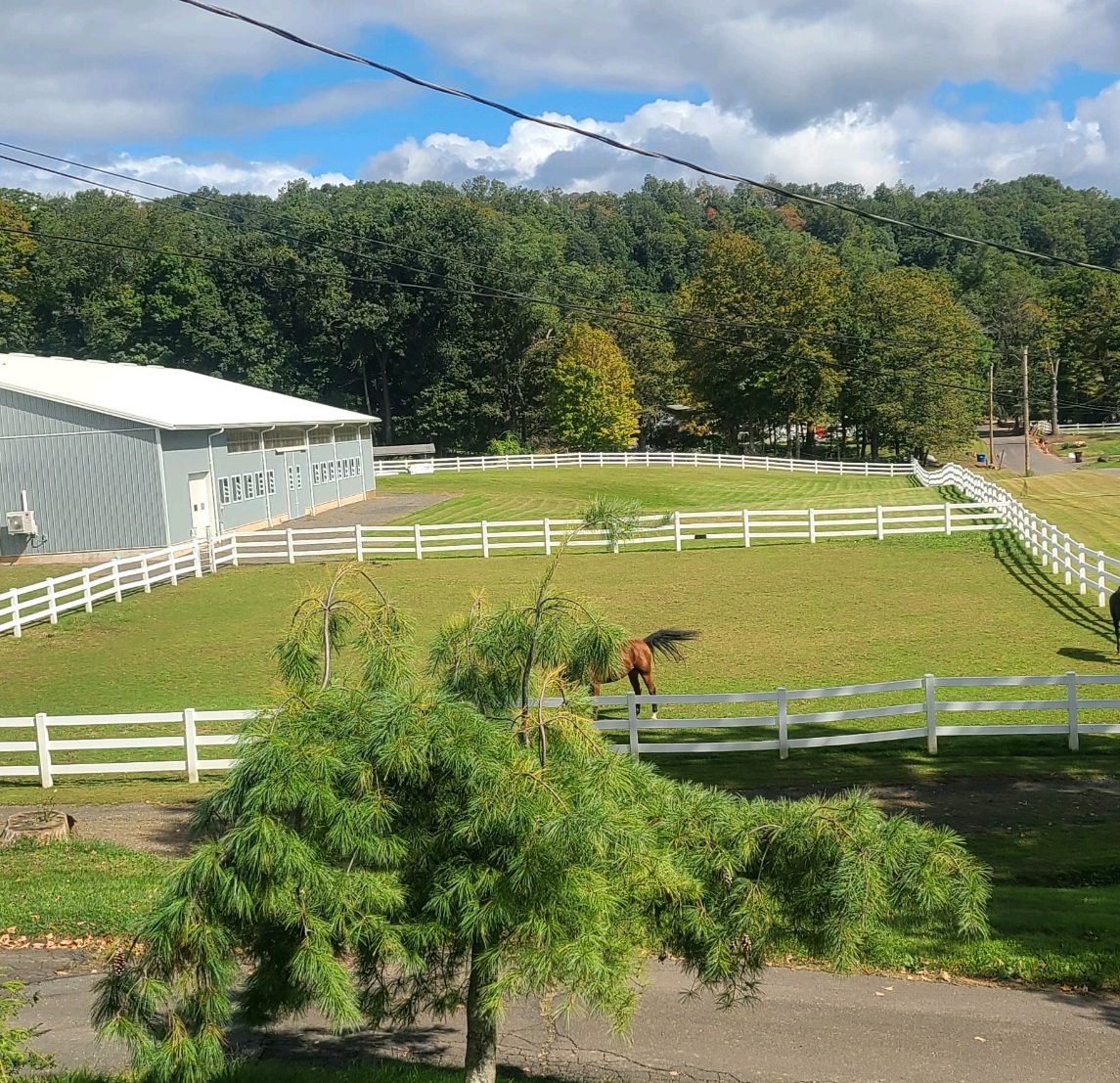 Horse in a Connecticut fenced field on a partly sunny day.