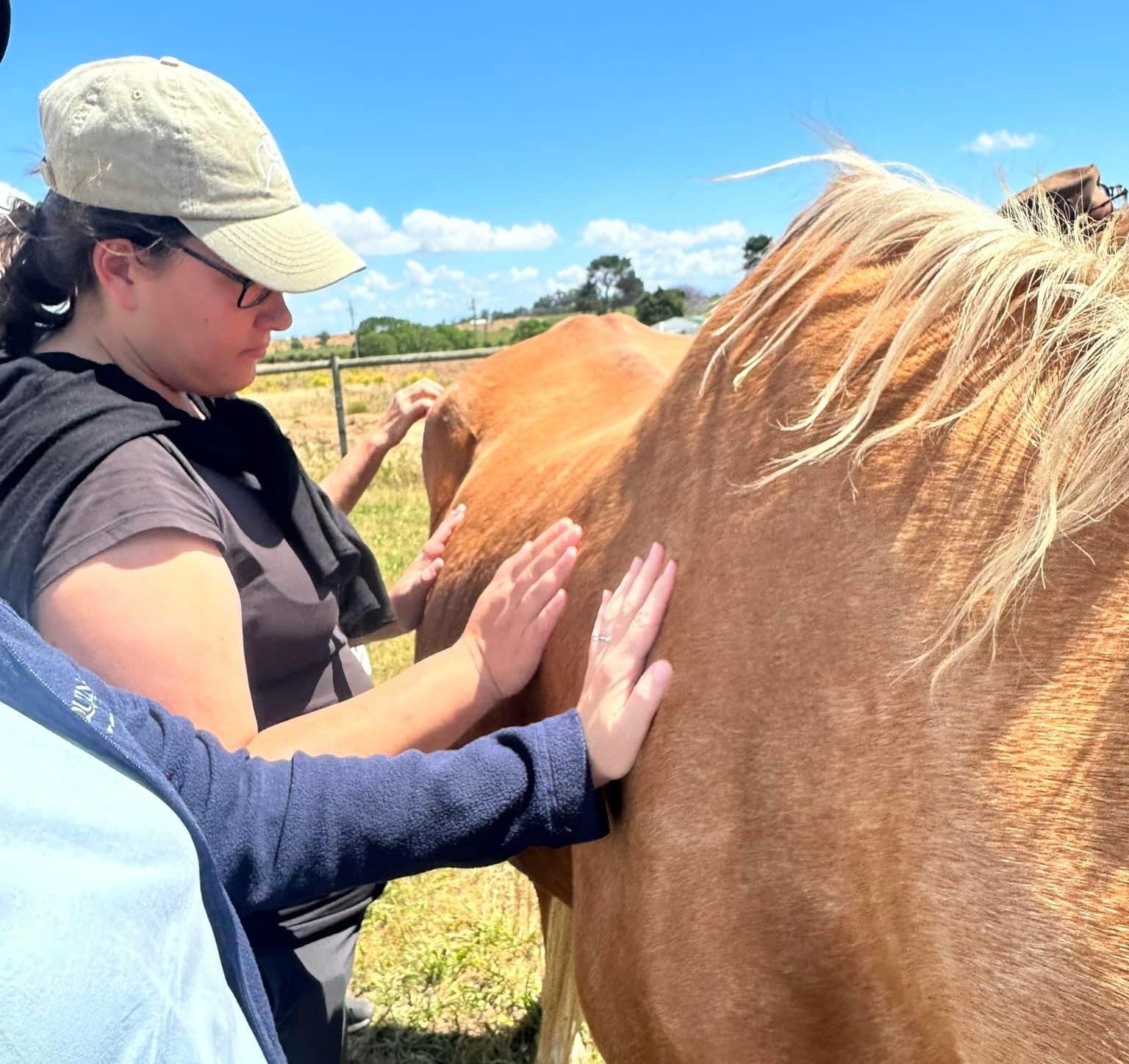 People patting the side of a horse in a South Africa field.