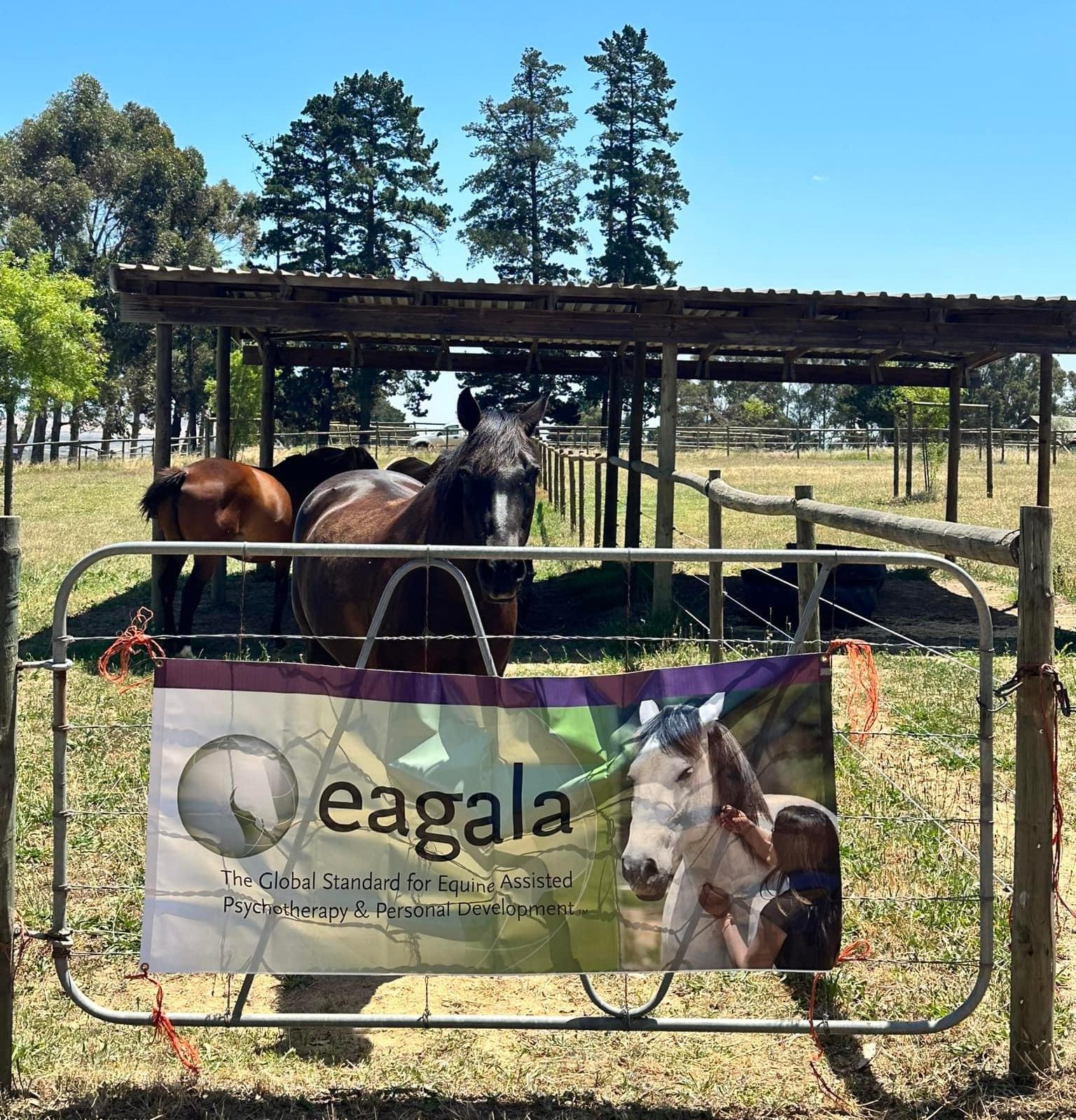 An Eagala sign on a gate in front of a horse in a South Africa outdoor area.