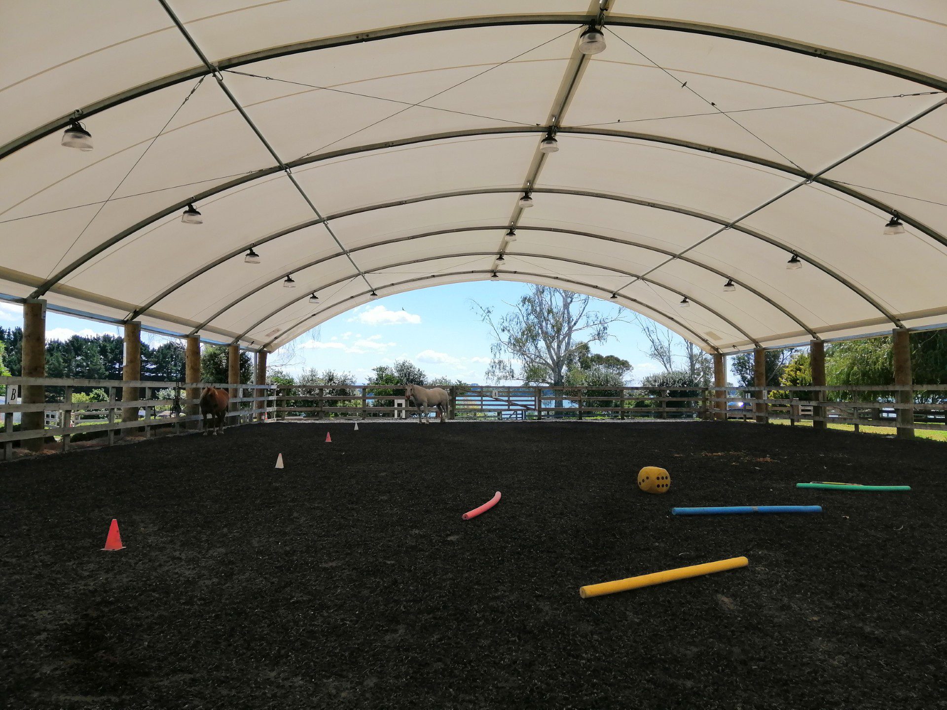 A covered outdoor area with several objects on the ground and a horse at the far end.