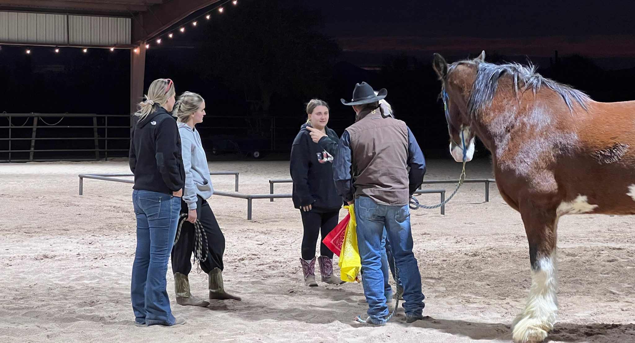 A group of people gathered in front of a horse in an open air arena at night in Arizona.