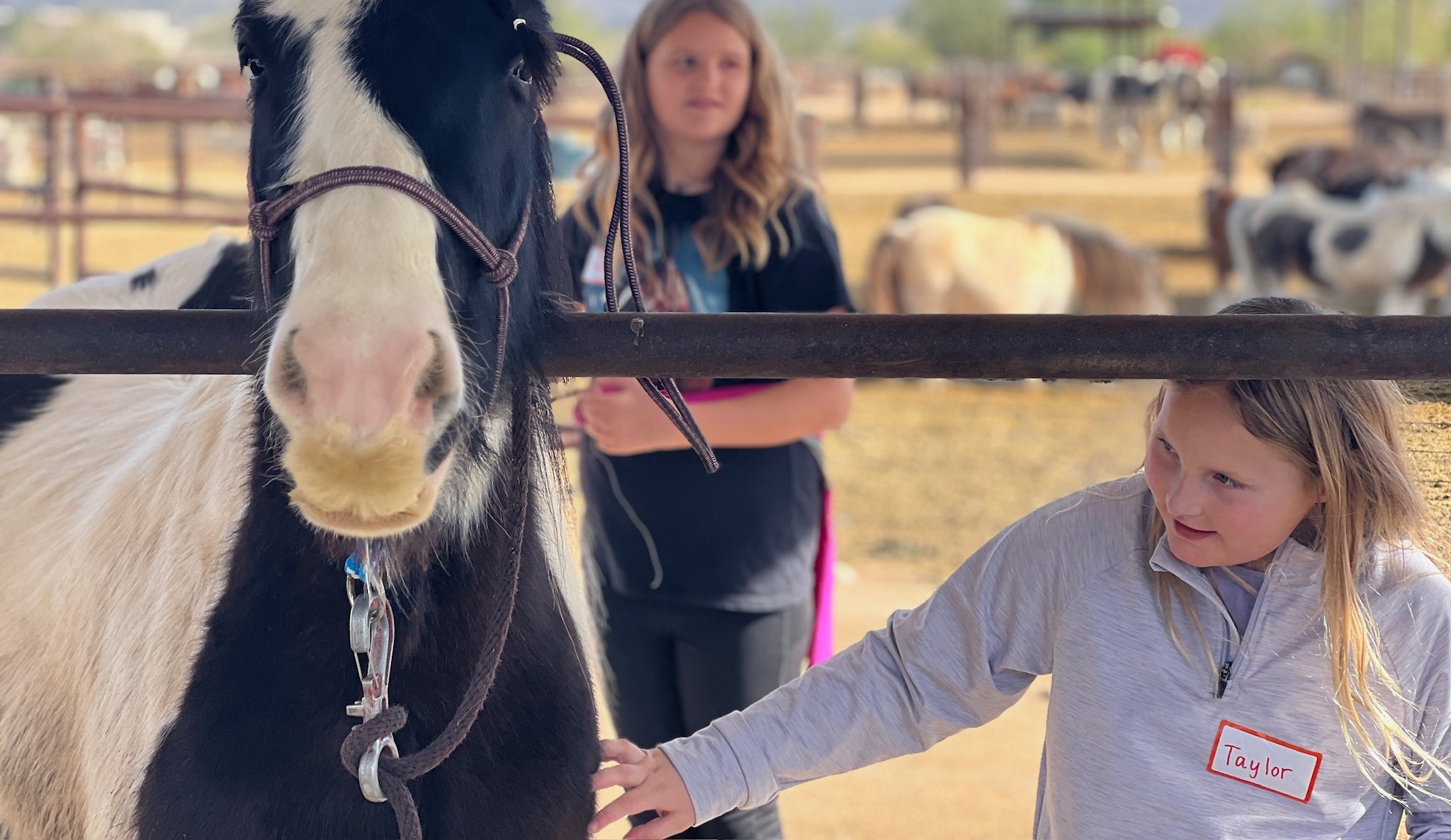 A young, smiling girl touching the side of a horse in an arena in Arizona.