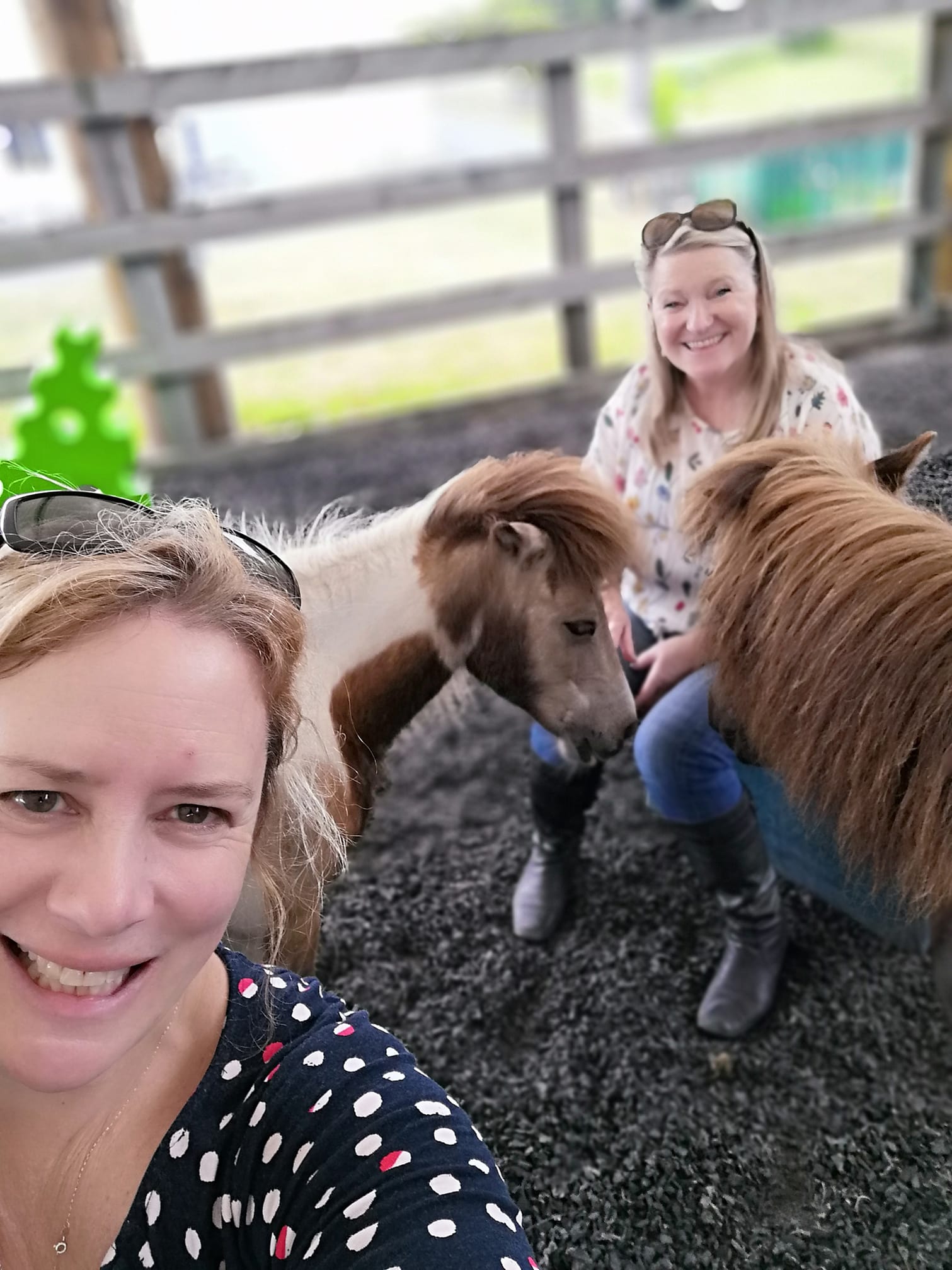 One woman in the foreground and another woman with two horses in the background.