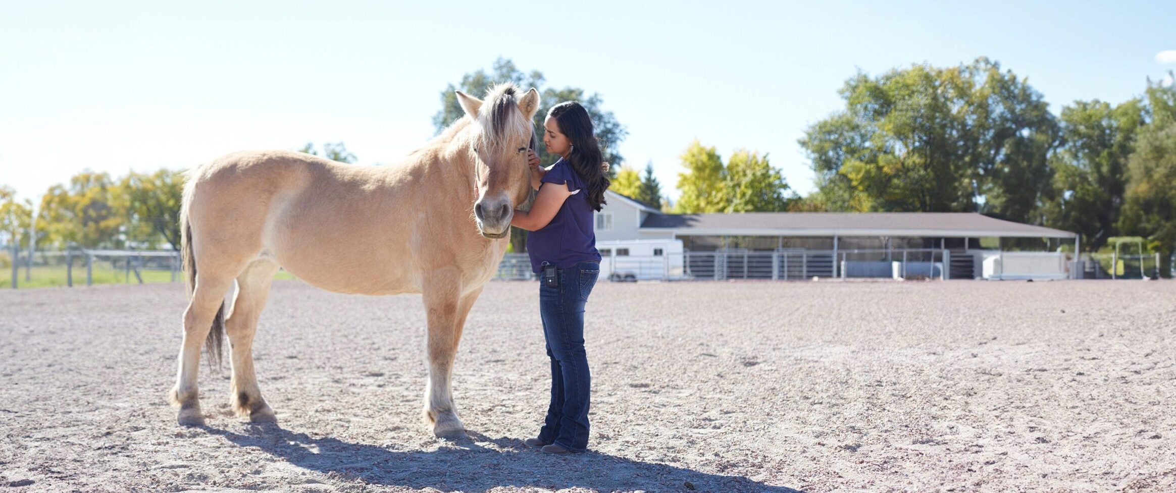 A woman holding a horse close to illustrate How to Become a Certified Equine Assisted Psychotherapist