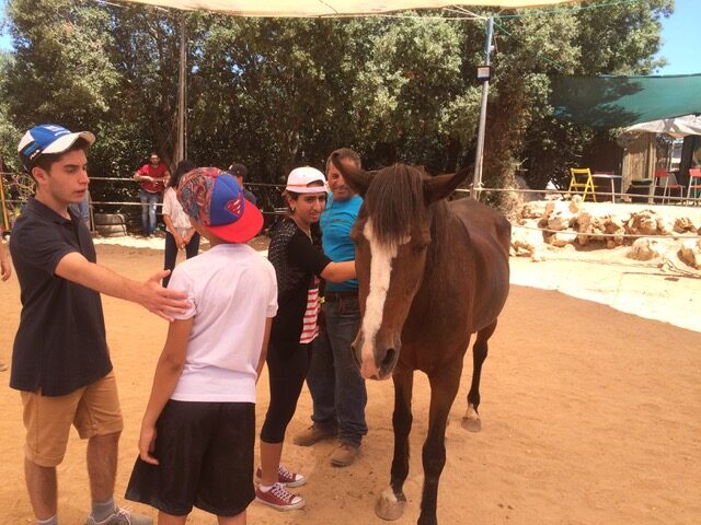 A female petting the side of the horse under a canopy with a few other people standing nearby.