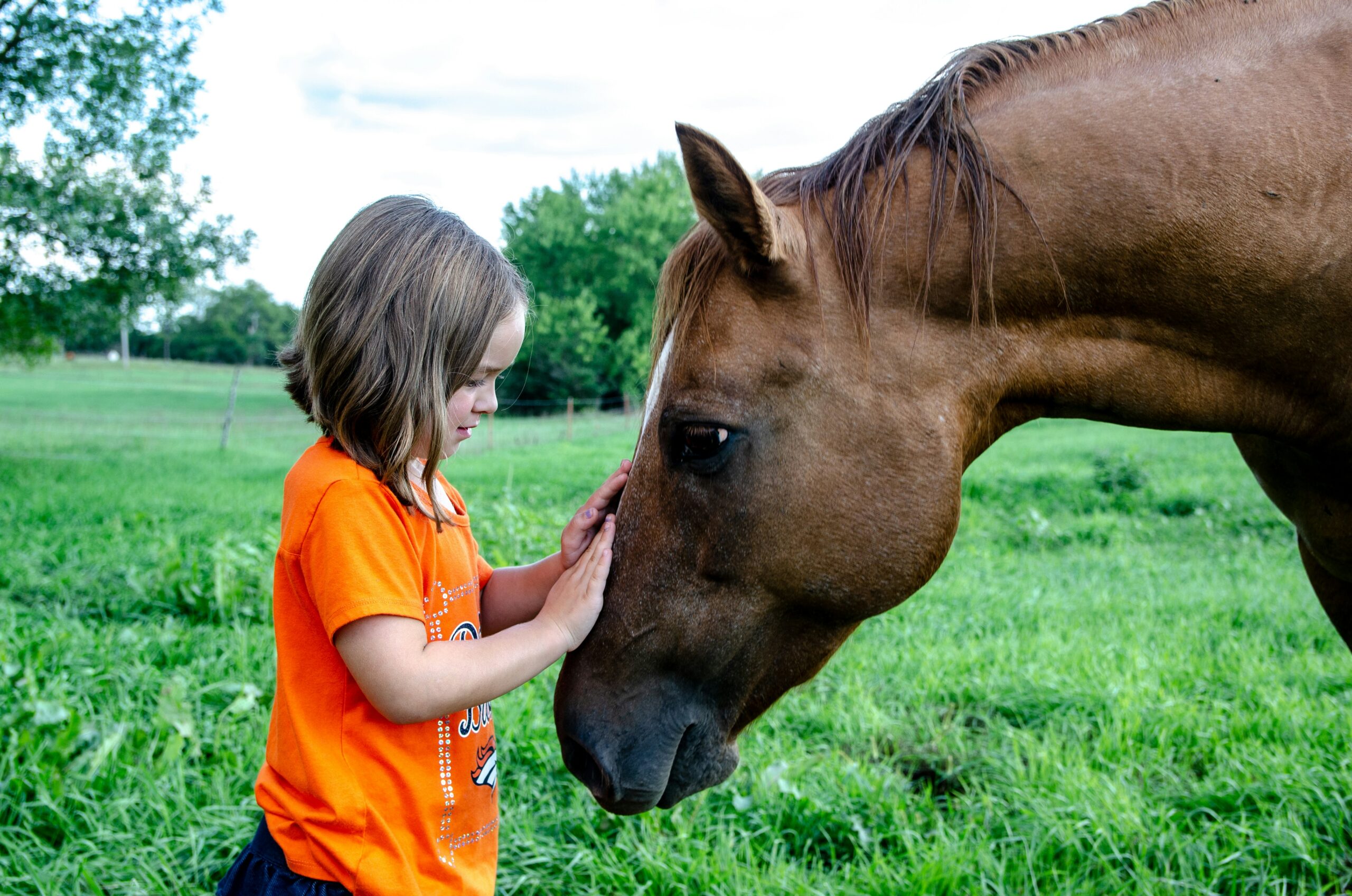 A young girl petting a horse on it's nose