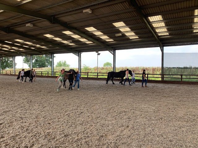 A few horses walking with people in a covered UK arena.