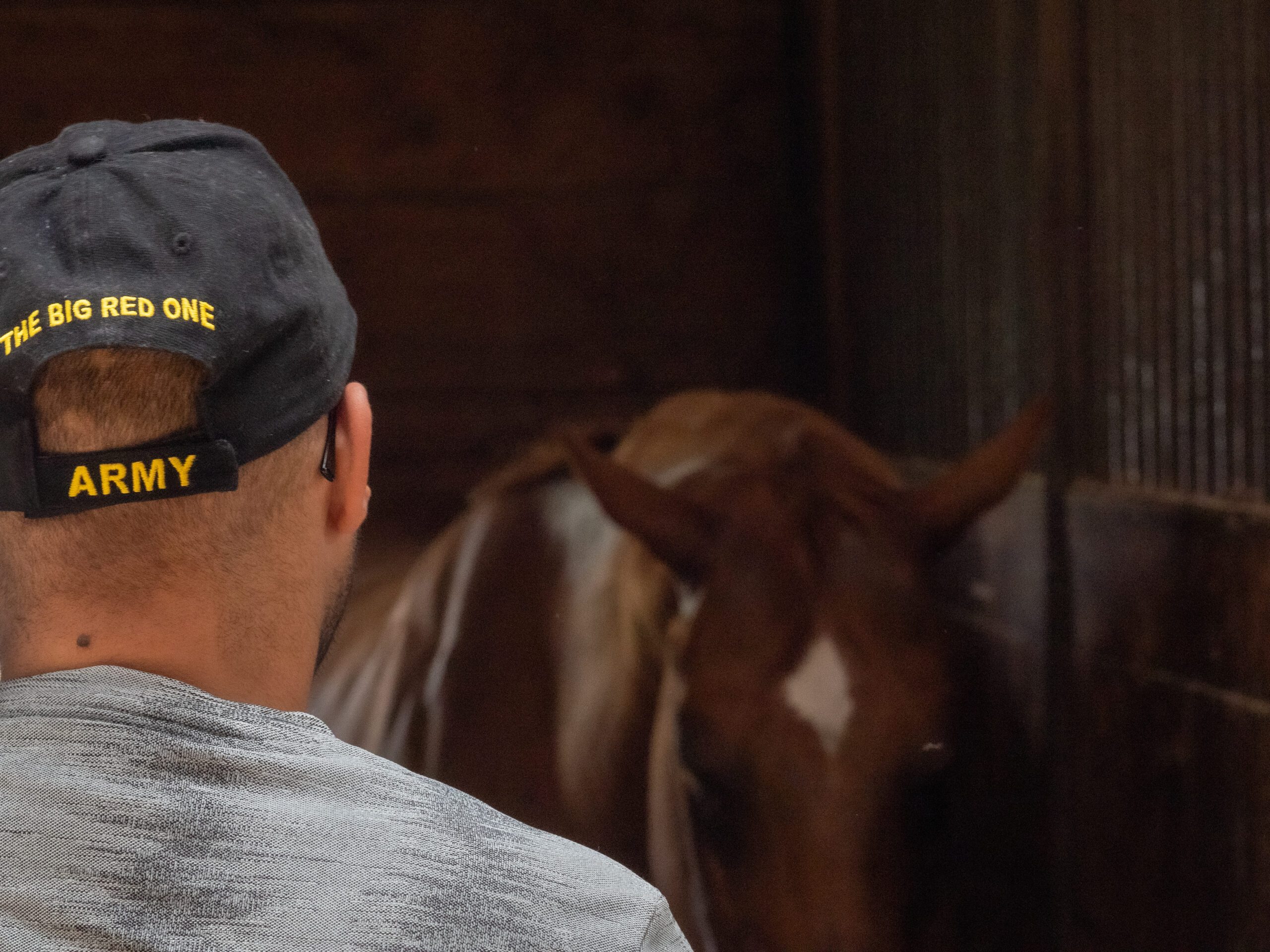 A veteran interacting with a horse in a Virginia barn.