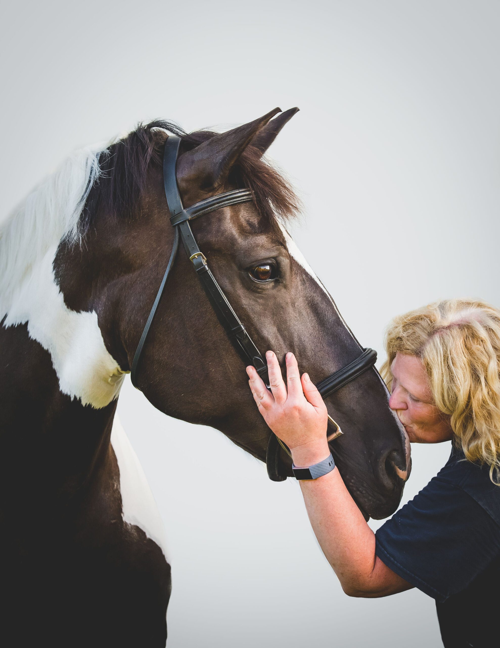 A woman kissing a horse just above the nostrils.